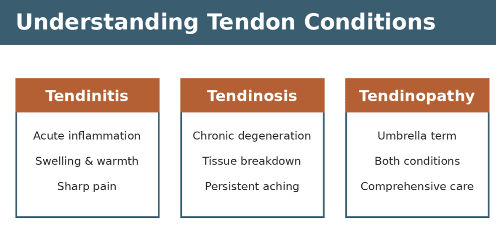 Tendon Conditions needing Physical Therapy