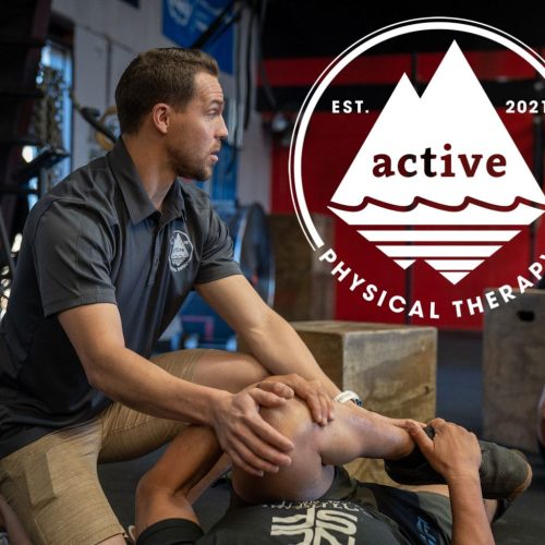 physical therapy blog